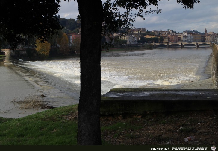 21-013 Arno 21-013 Arno