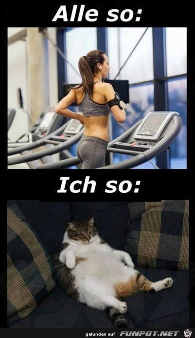 Der feine Unterschied Der feine Unterschied