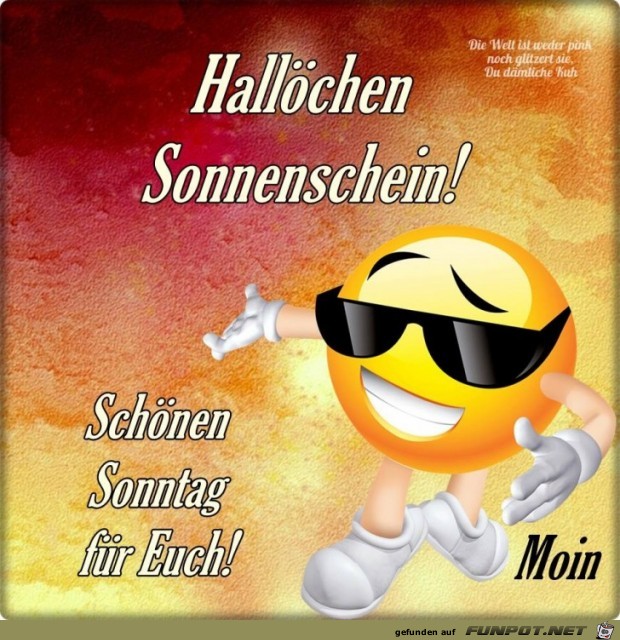 Halloechen Sonnenschein Halloechen Sonnenschein