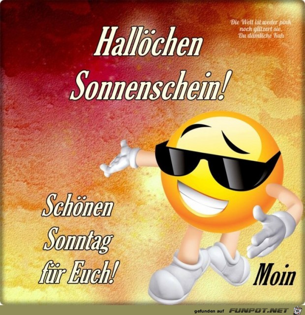 Halloechen Sonnenschein