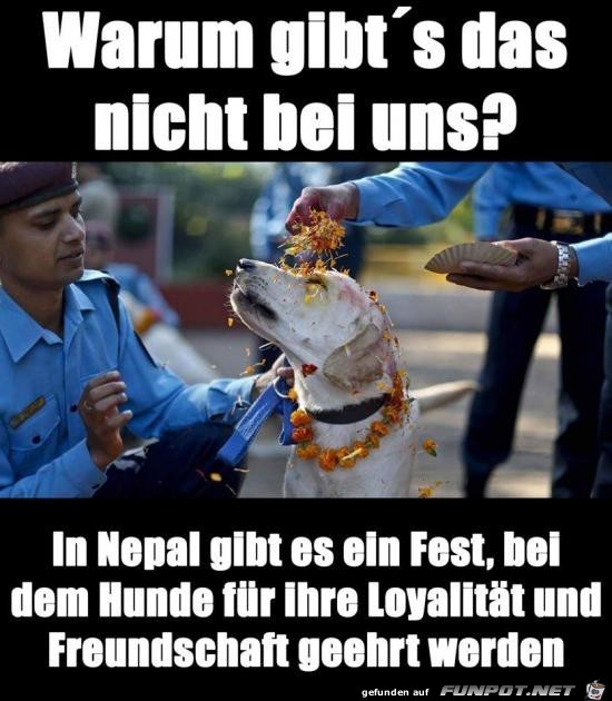warum gbt´s das nicht bei uns?....... warum gbt´s das nicht bei uns?.......