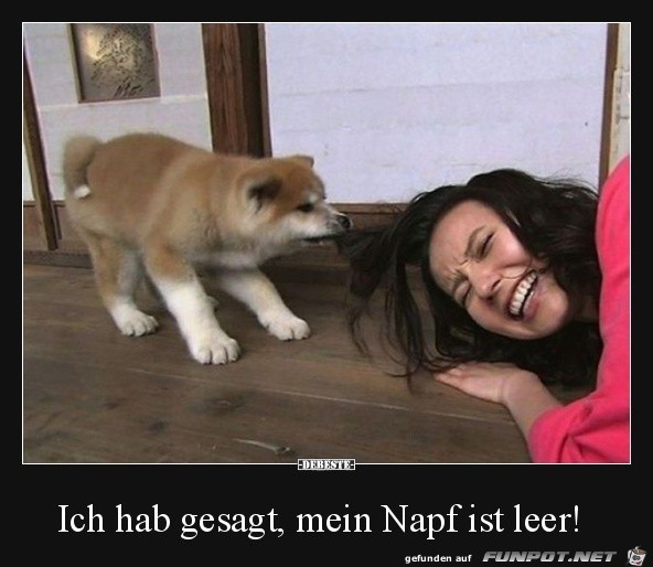 Komm jetzt Komm jetzt