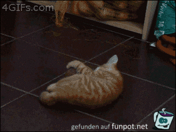 Was ist das Was ist das