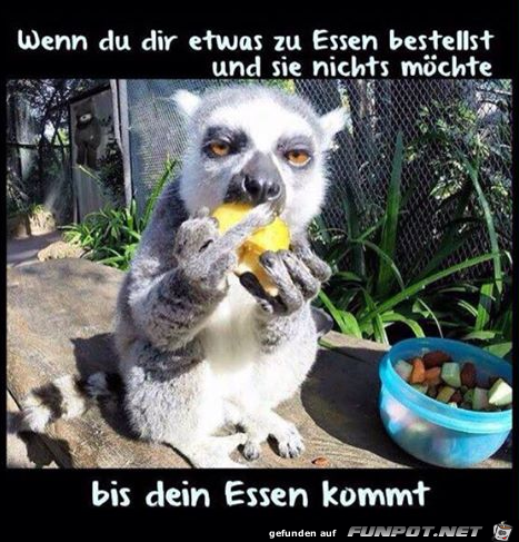 Kennt jeder Kennt jeder