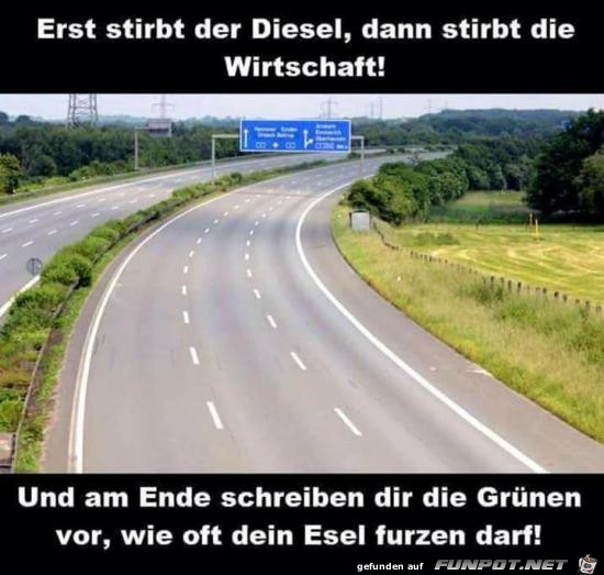 Und am Ende die Grnen