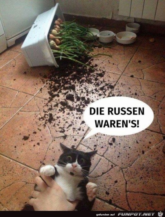 Die Russen sind schuld Die Russen sind schuld