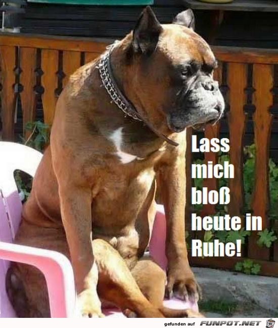 Lass mich in Ruhe