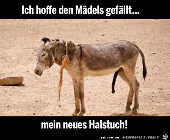 Den Mädels gefällts Den Mädels gefällts