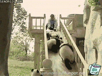 Panda-Rutsche Panda-Rutsche
