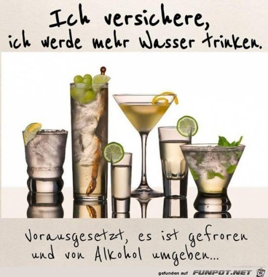 Guter Plan Guter Plan