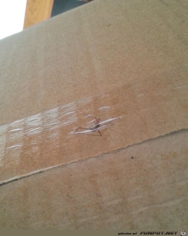 fedex-ups-delivery-fails-23 fedex-ups-delivery-fails-23