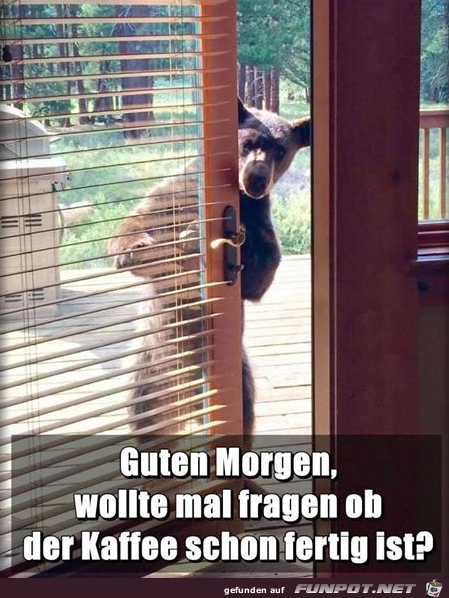 Guten Morgen