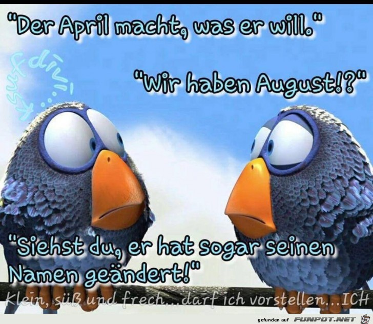 Böser August Böser August