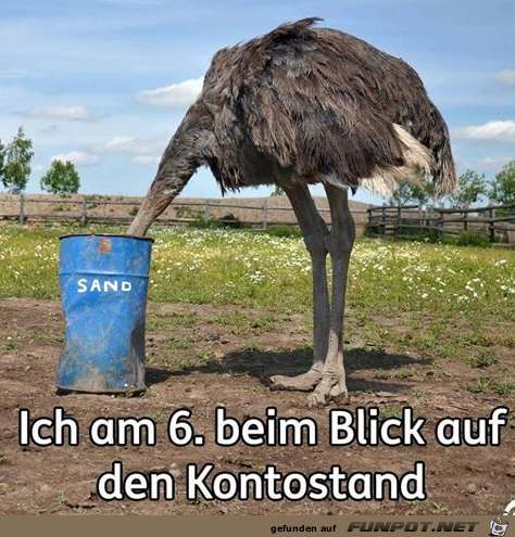 Kopf in den Sand