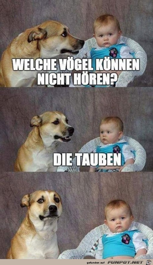 Hab ich nicht kapiert