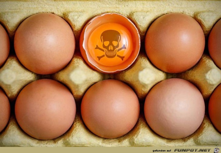 Fipronil-Ei Fipronil-Ei