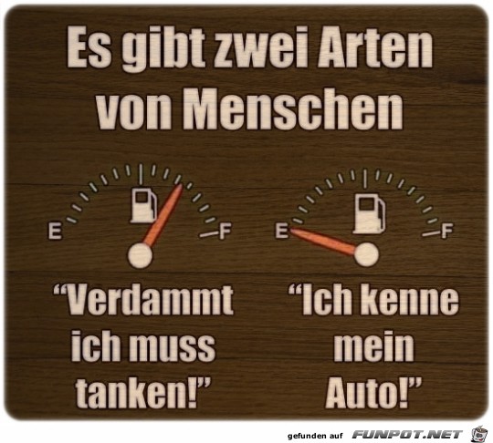 zwei Arten zwei Arten