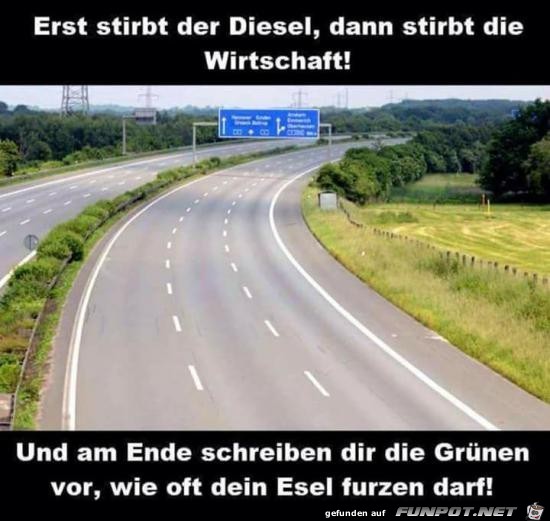 erst stirbt der Diesel, dann die Wirtschaft!.......