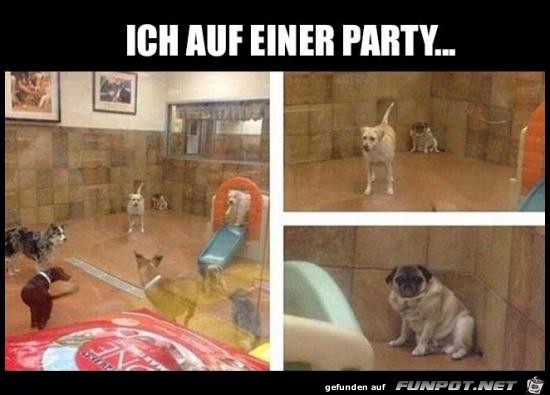 Klasse Party Klasse Party