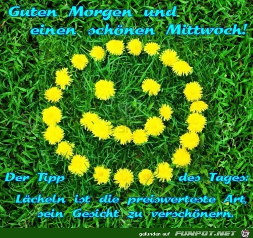 Mittwoch Mittwoch