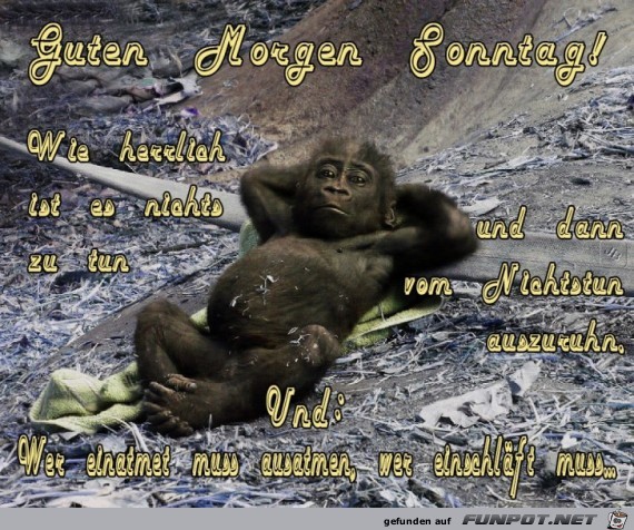 Sonntag Sonntag