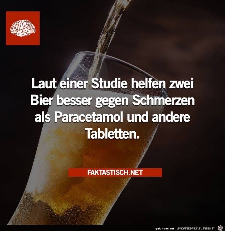 Bier hilft gegen Schmerzen