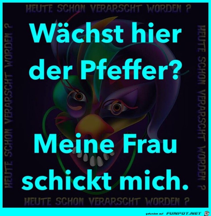 Pfeffer Pfeffer