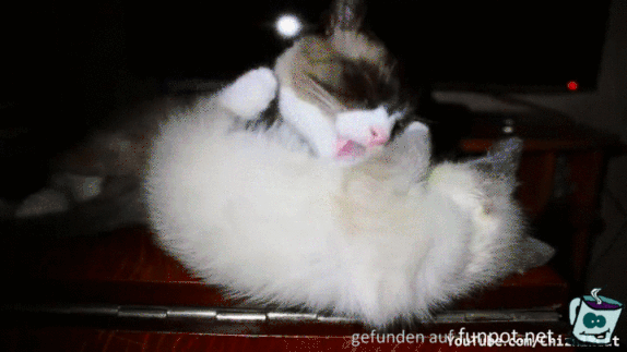 Ausgetrickst Ausgetrickst