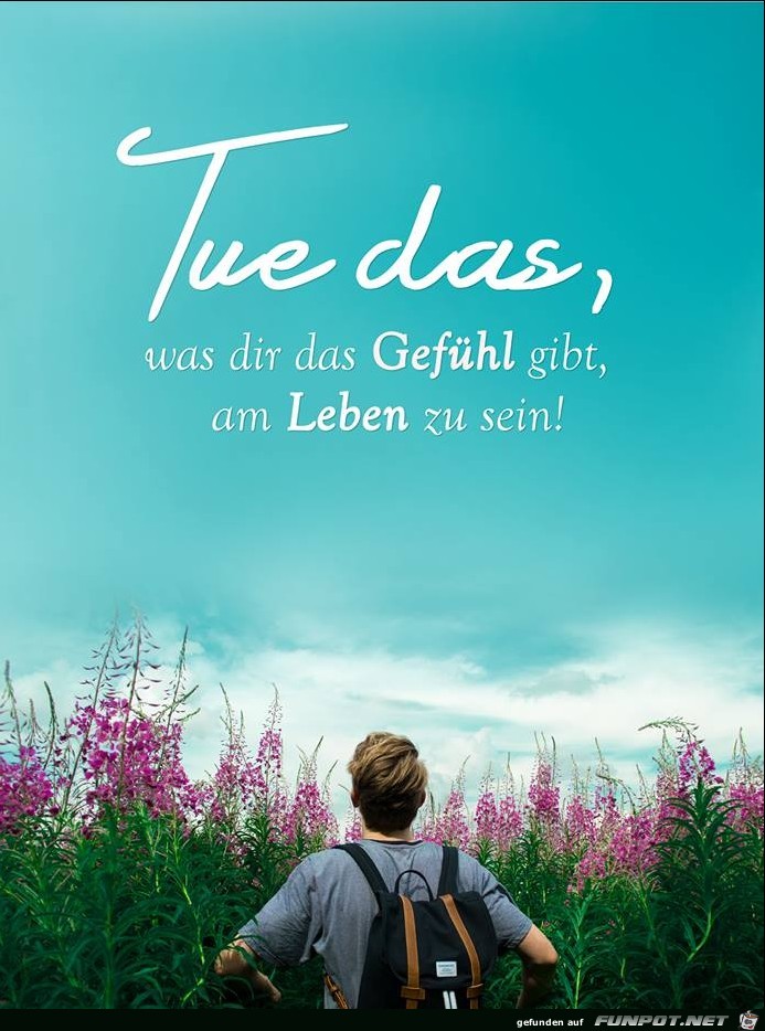 Tue das