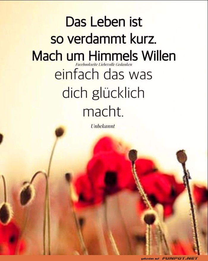 10 schöne Sprüche und Lebensweisheiten aus... 10 schöne Sprüche und Lebensweisheiten aus...