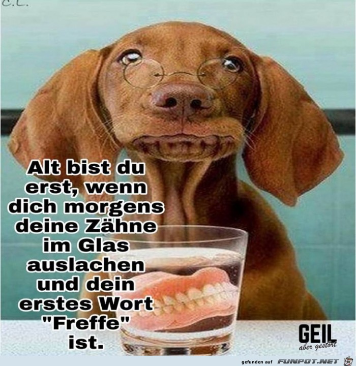 Alt bist du erst Alt bist du erst