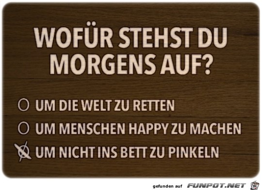 Morgens Morgens