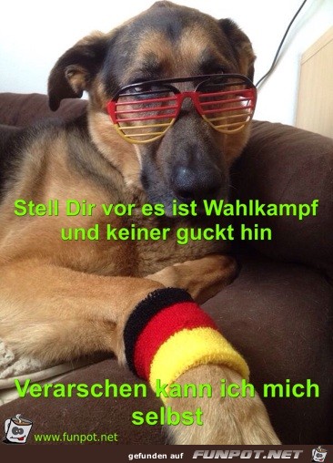 Stell Dir vor es ist Wahlkampf und keiner guckt hin Stell Dir vor es ist Wahlkampf und keiner guckt hin