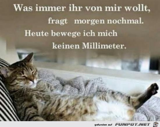 was immer ihr von mir wollt...... was immer ihr von mir wollt......