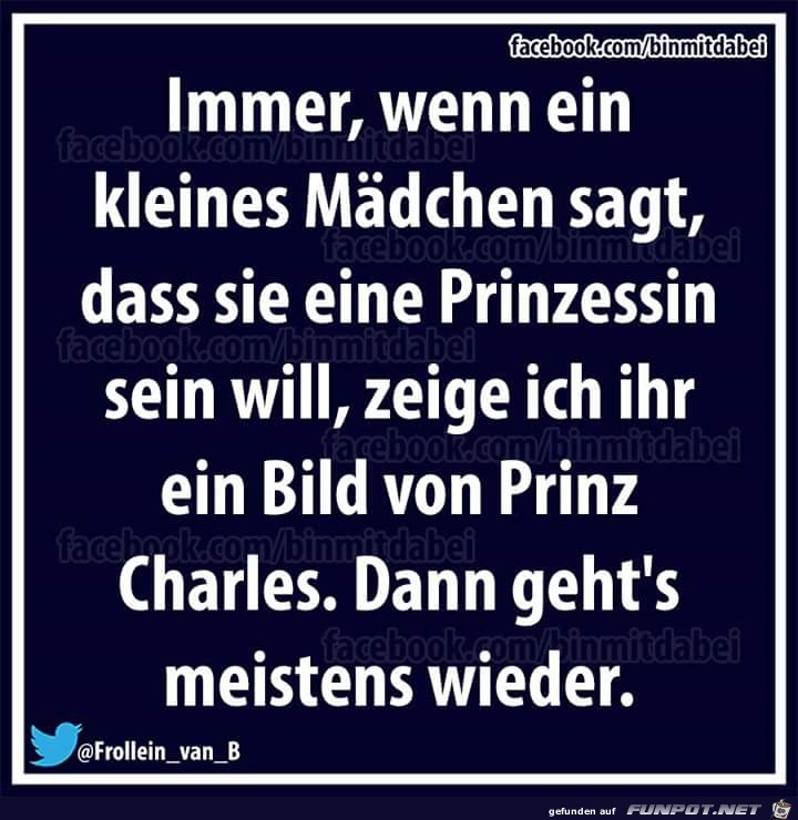 Prinzessin sein