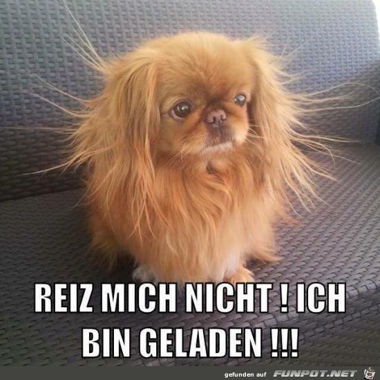 Reiz mich nicht Reiz mich nicht