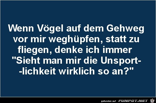 Vögel Vögel