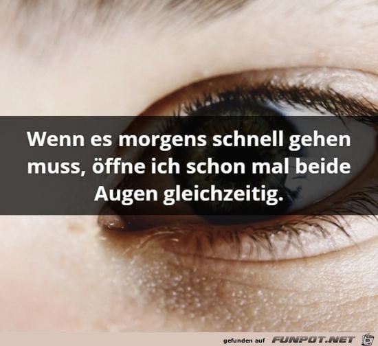Wie clever Wie clever