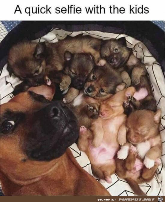 Schnelles Selfie mit den Kindern Schnelles Selfie mit den Kindern