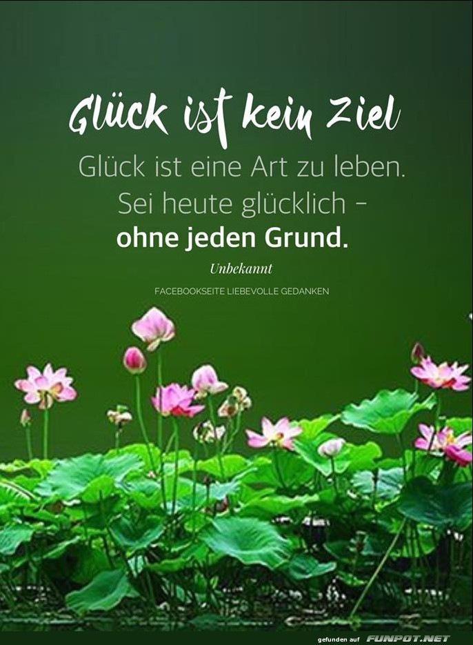 Glueck ist kein Ziel