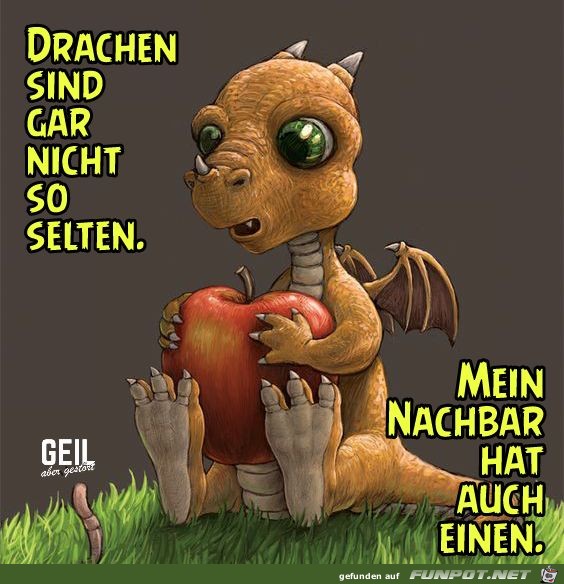 Drachen sind nicht so selten Drachen sind nicht so selten