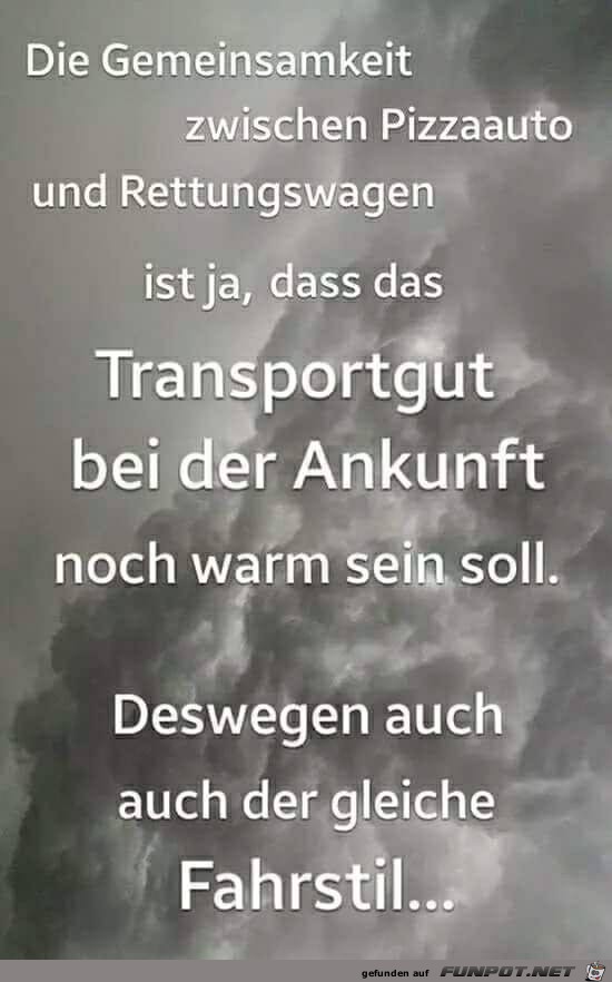 Gemeinsamkeiten Gemeinsamkeiten