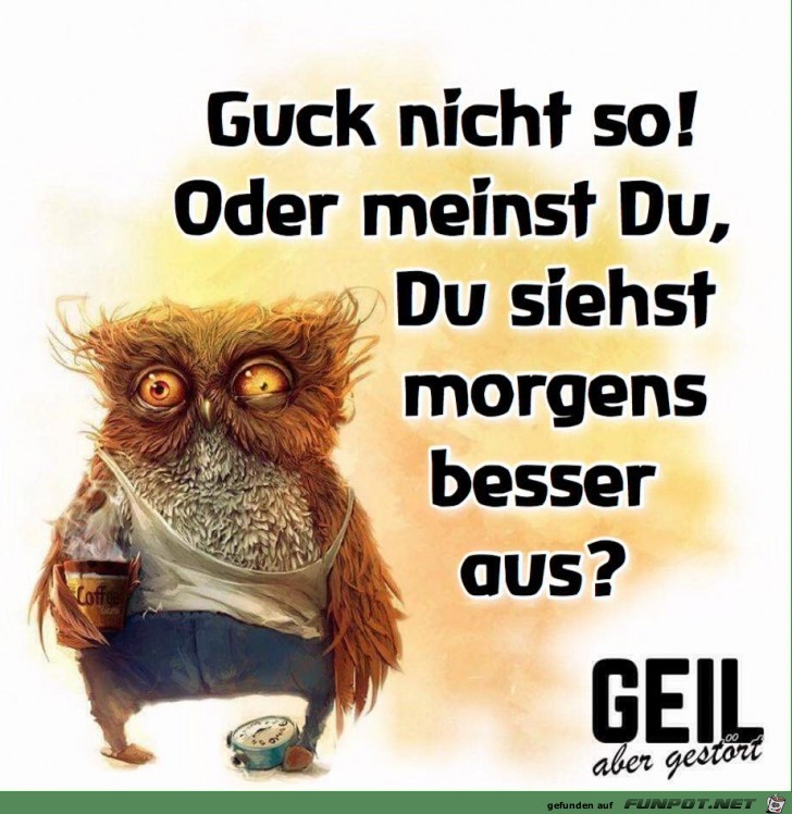 Guck nicht so Guck nicht so