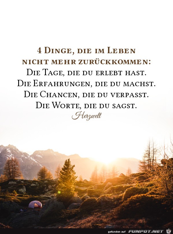 4 Dinge die im Leben 4 Dinge die im Leben