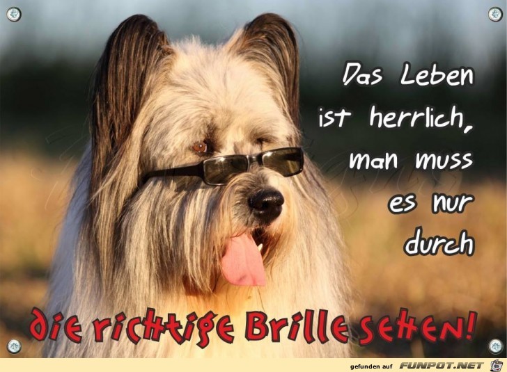 Richtige Brille Richtige Brille