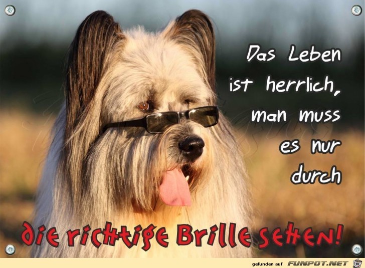 Richtige Brille