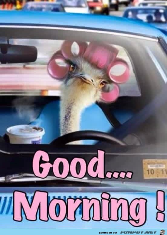 Guten Morgen Guten Morgen