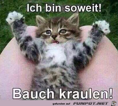 Bauch kraulen Bauch kraulen