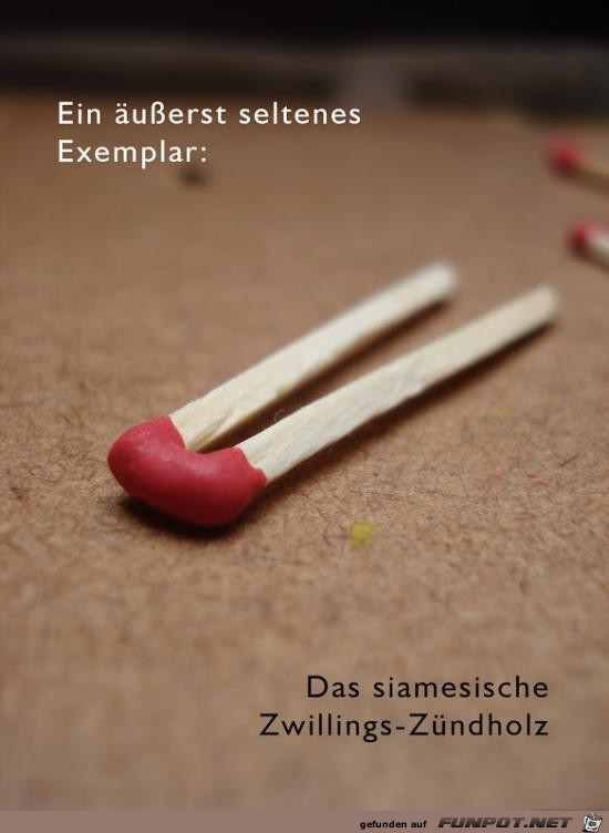 Zwillings-Zündholz Zwillings-Zündholz