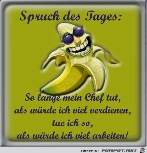 Spruch des Tages